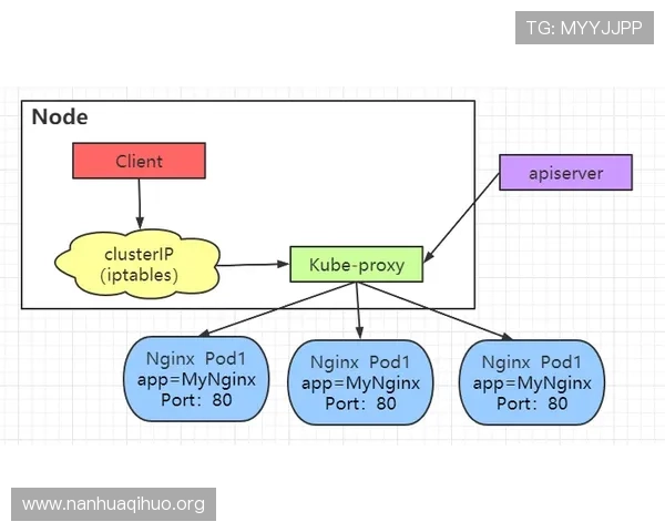 全面解析26 net必赢的安全性与稳定性保障让玩家无后顾之忧