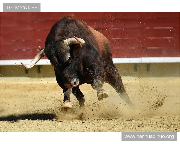 在斗牛小游戏中如何合理押注实现收益最大化的实用策略分享 在斗牛小游戏中如何合理押注实现收益最大化的实用策略分享