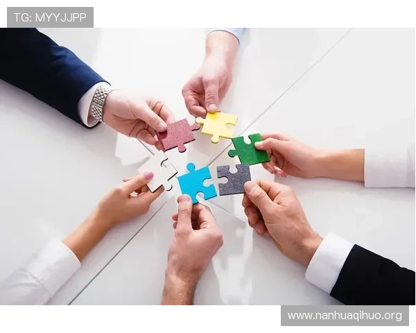 必赢客官方合作伙伴介绍，探索多元化的游戏资源与优质内容合作机会